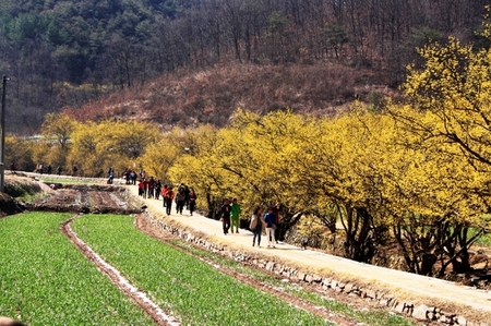 메인사진