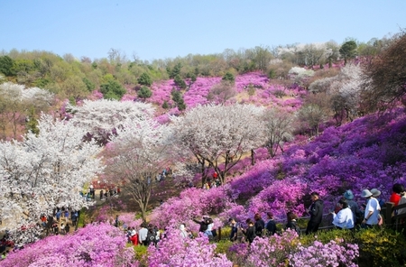 메인사진