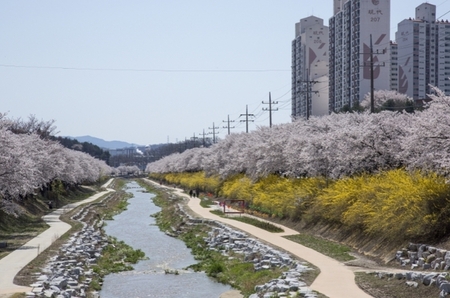 메인사진