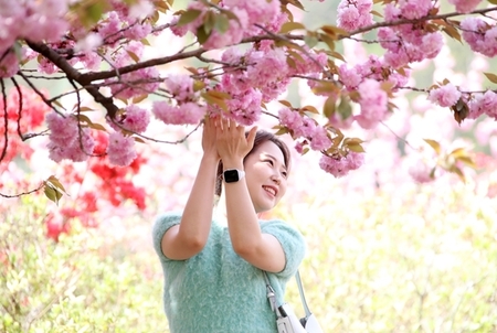 메인사진