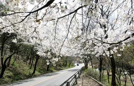 메인사진