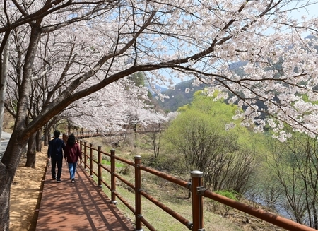 메인사진