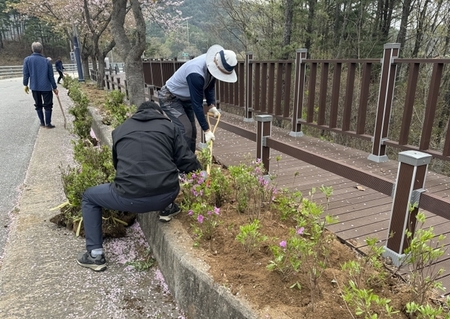 메인사진