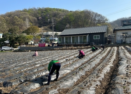 메인사진