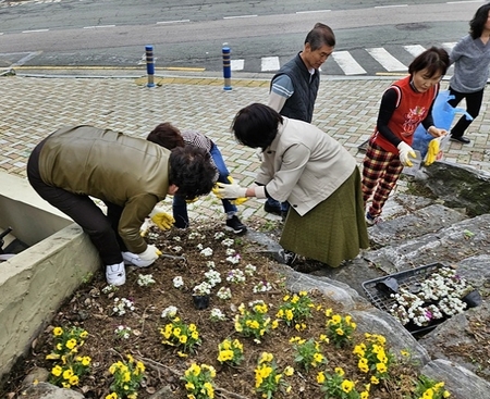 메인사진