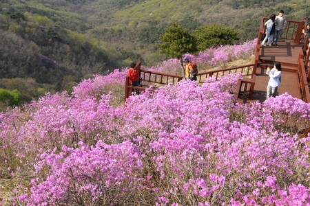 메인사진