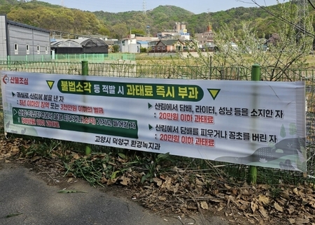 메인사진