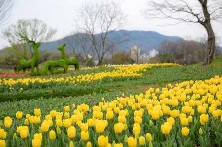 메인사진