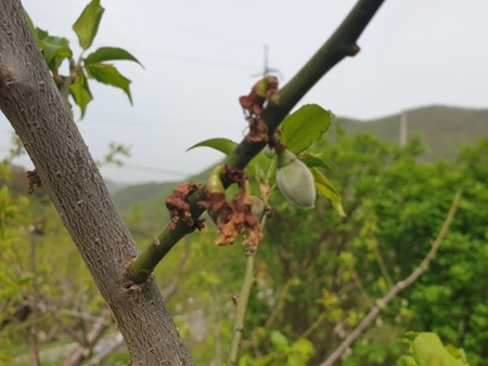 메인사진