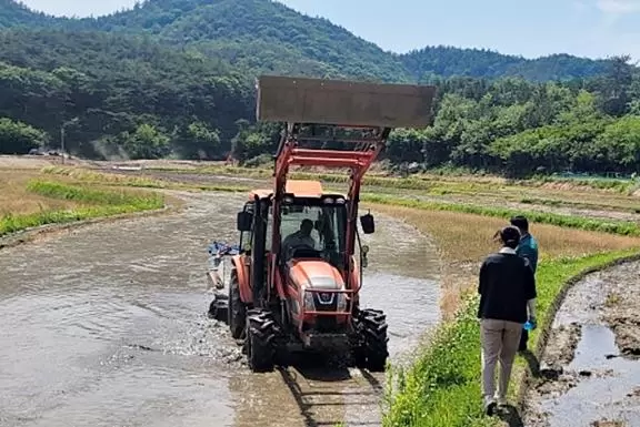 메인사진