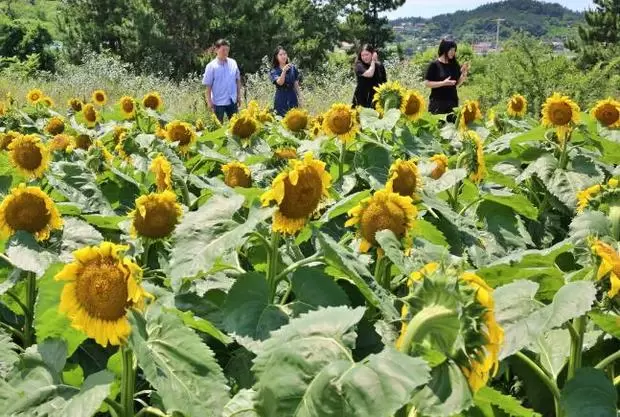 메인사진