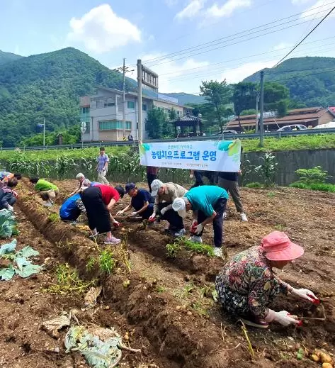 썸네일이미지