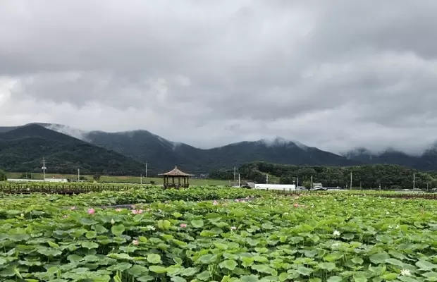 메인사진