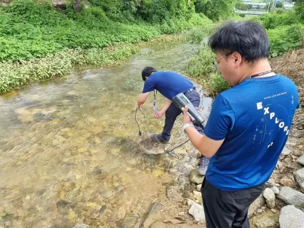 메인사진