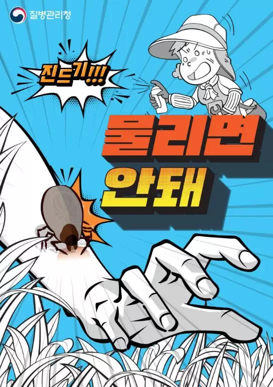 메인사진