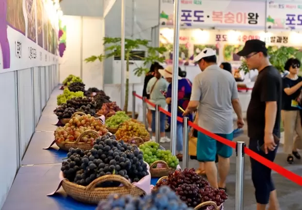 메인사진