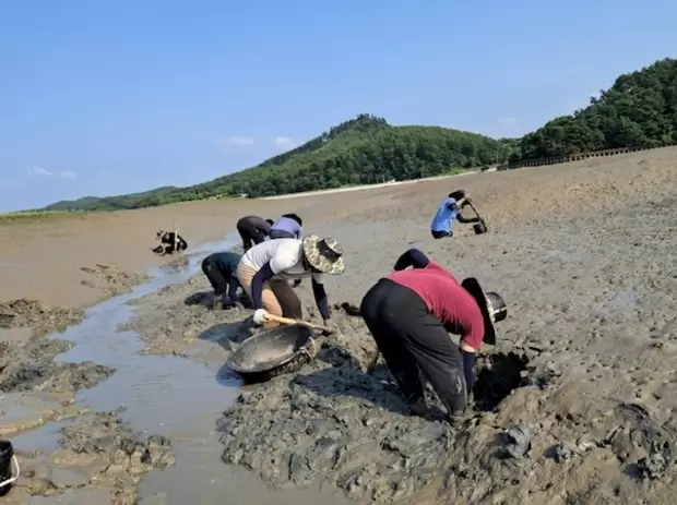 메인사진