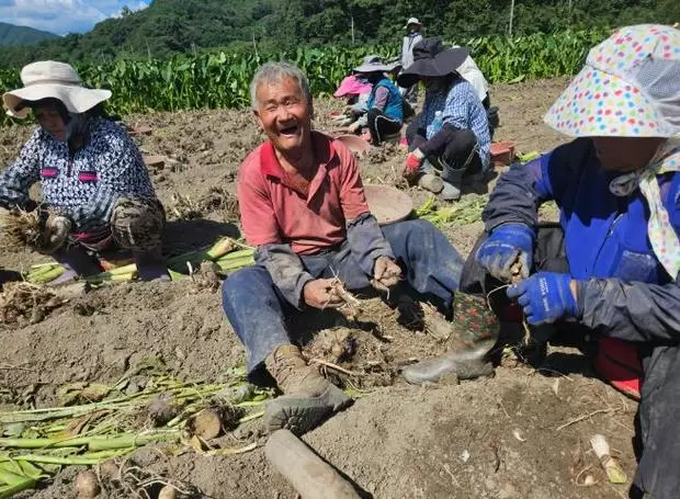 메인사진