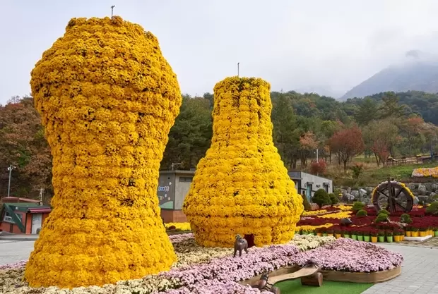 메인사진