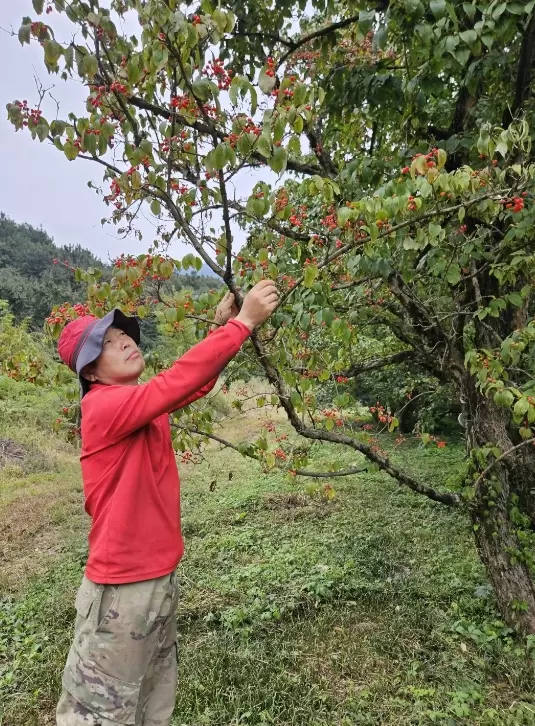 메인사진