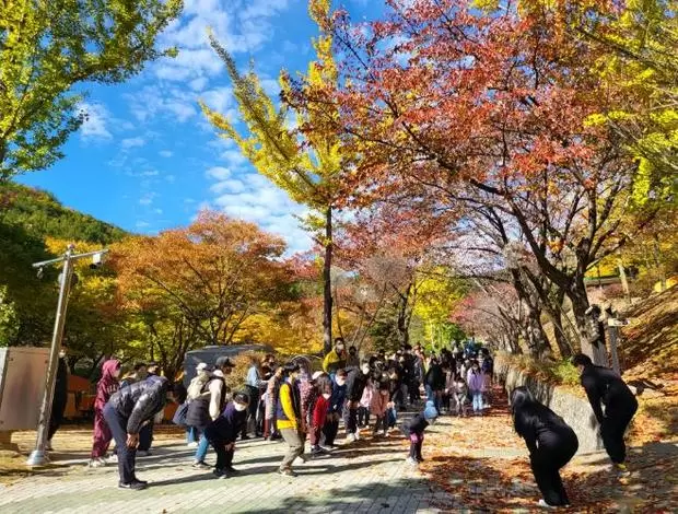 메인사진