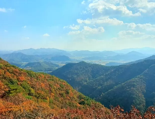 메인사진