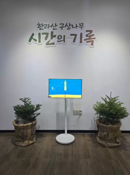 메인사진