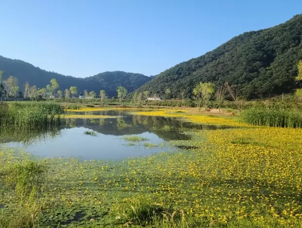 메인사진