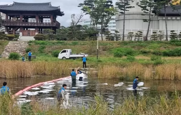 메인사진