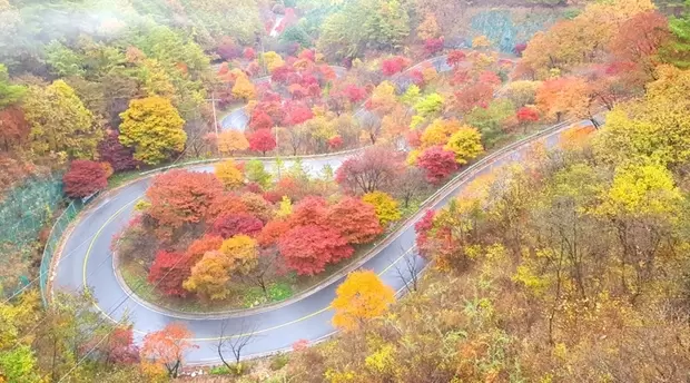 메인사진