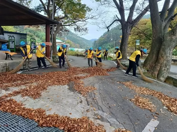 메인사진