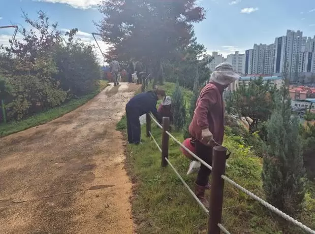 메인사진