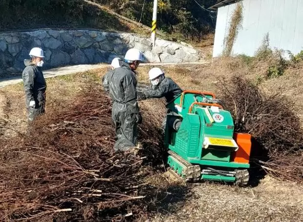 메인사진